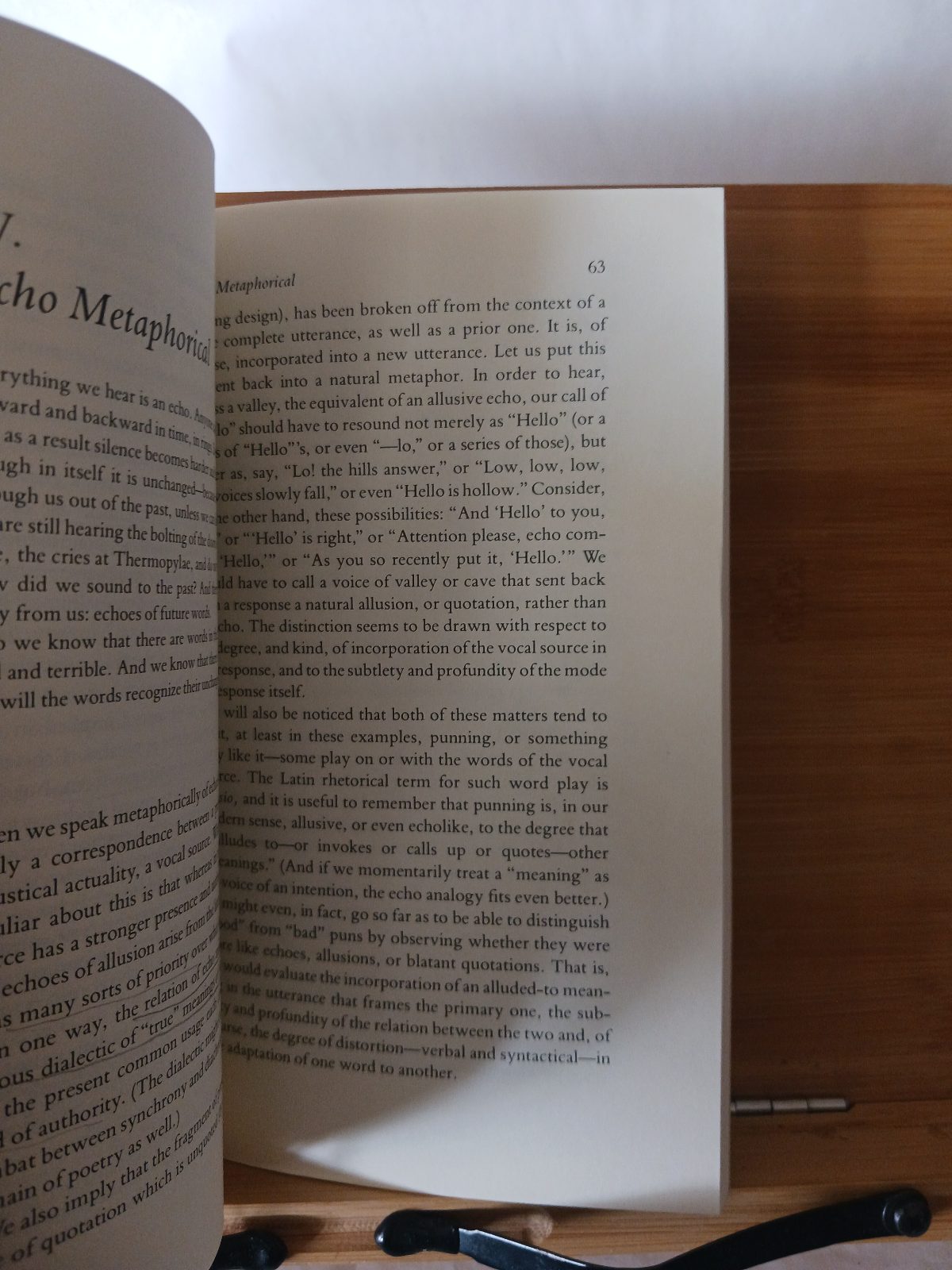 The Figure of Echo: A Mode of Allusion in Milton and After – Image 3