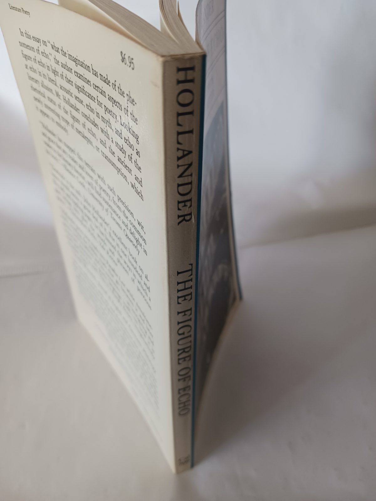 The Figure of Echo: A Mode of Allusion in Milton and After – Image 5