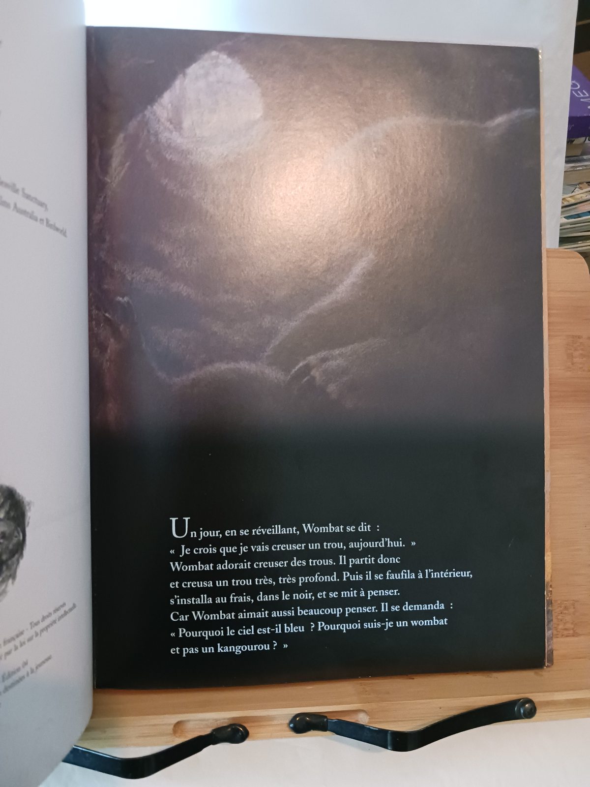 La sagesse de Wombat – Image 4