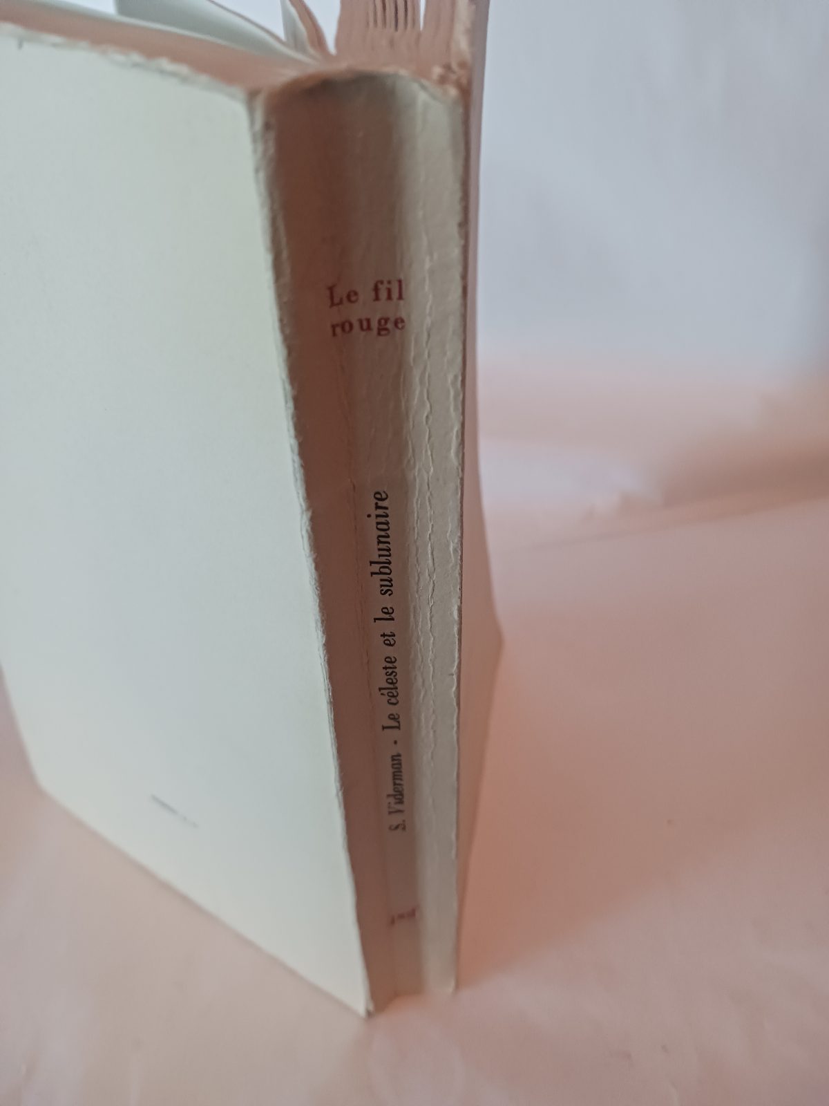 Le Céleste et le Sublunaire – Image 4
