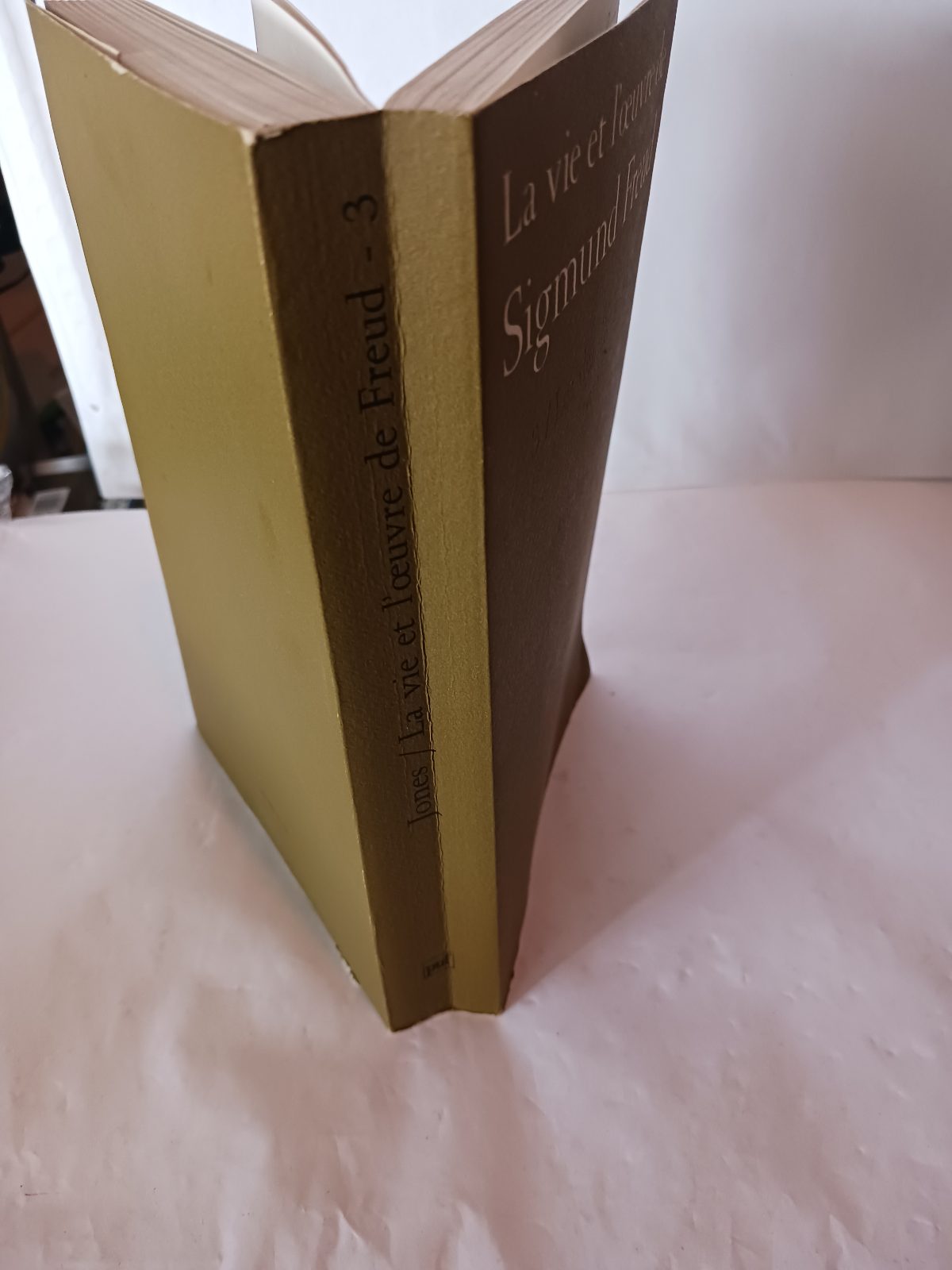 La vie et l'oeuvre de Sigmund Freud: Les dernières années, 1919-1939 – Image 5