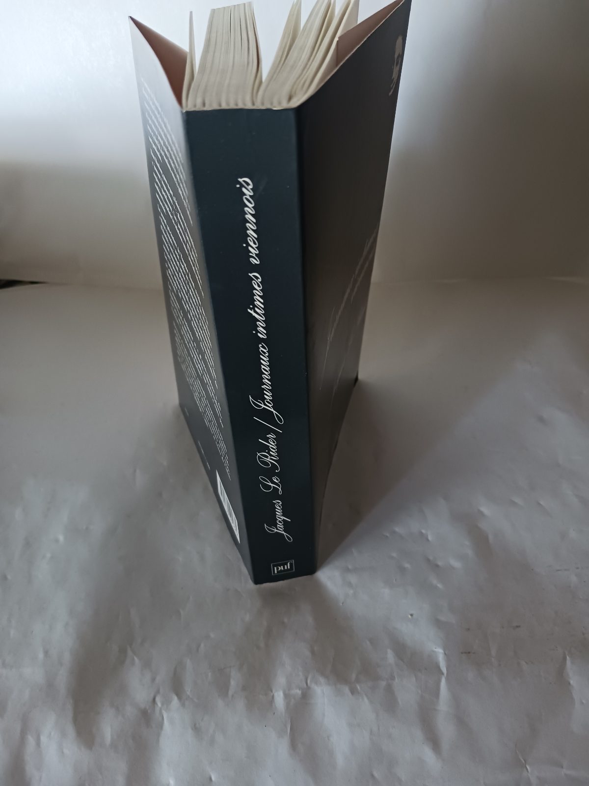 Journaux intimes viennois – Image 5