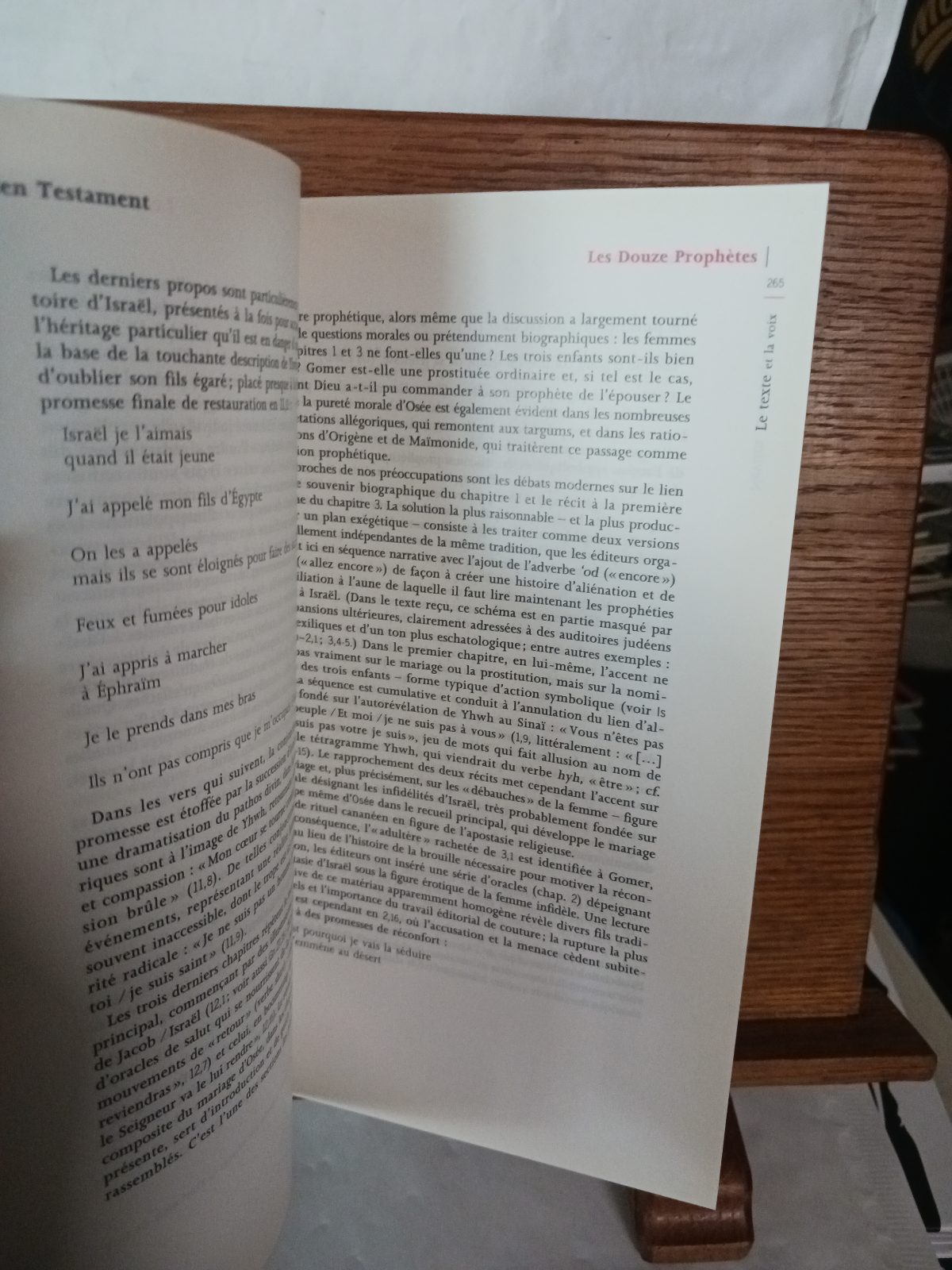 Encyclopédie littéraire de la Bible – Image 3