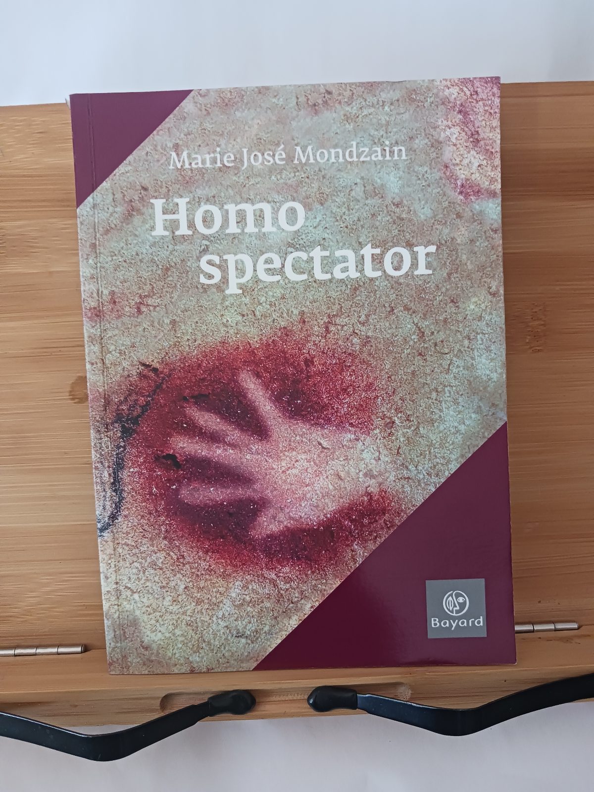 Homo spectator