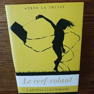 Le cerf-volant : roman