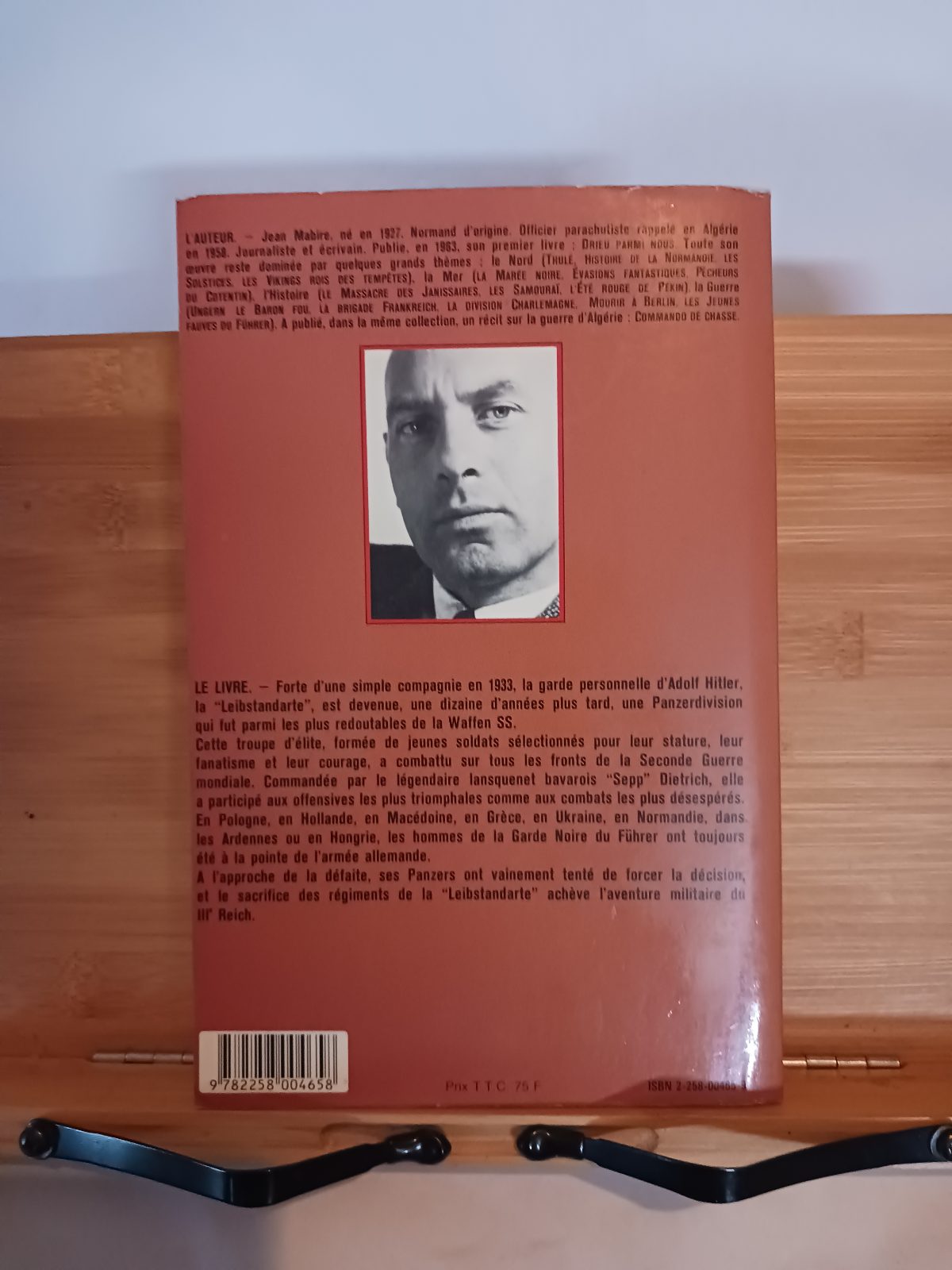 Les panzers de la Garde noire – Image 2