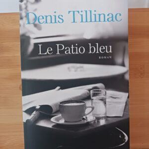 Le patio bleu : roman