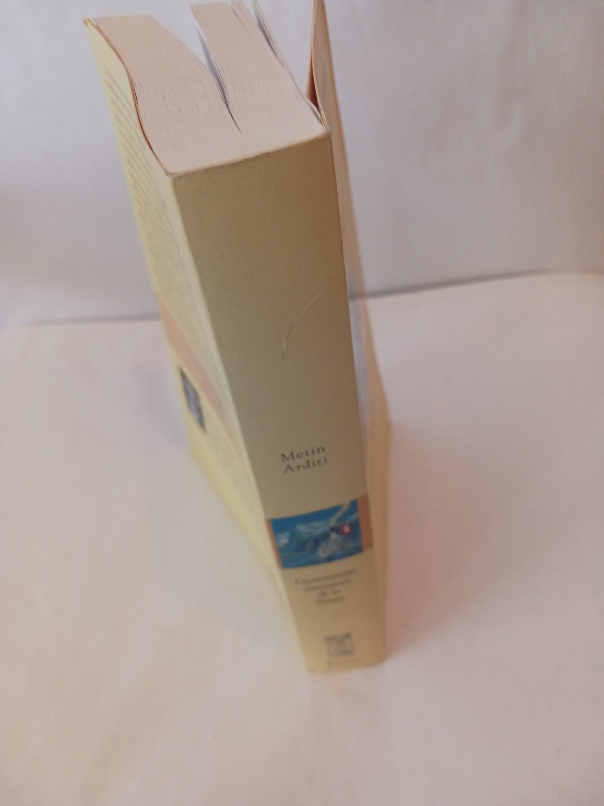 Dictionnaire amoureux de la Suisse – Image 5