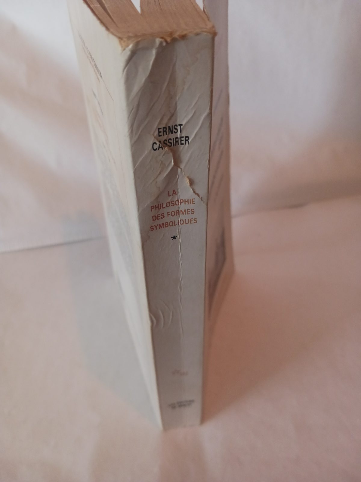 La Philosophie des formes symboliques, tome 1 – Image 5