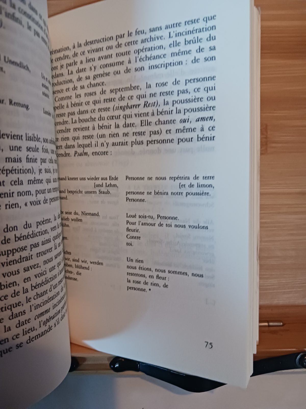 Schibboleth pour Paul Celan – Image 3