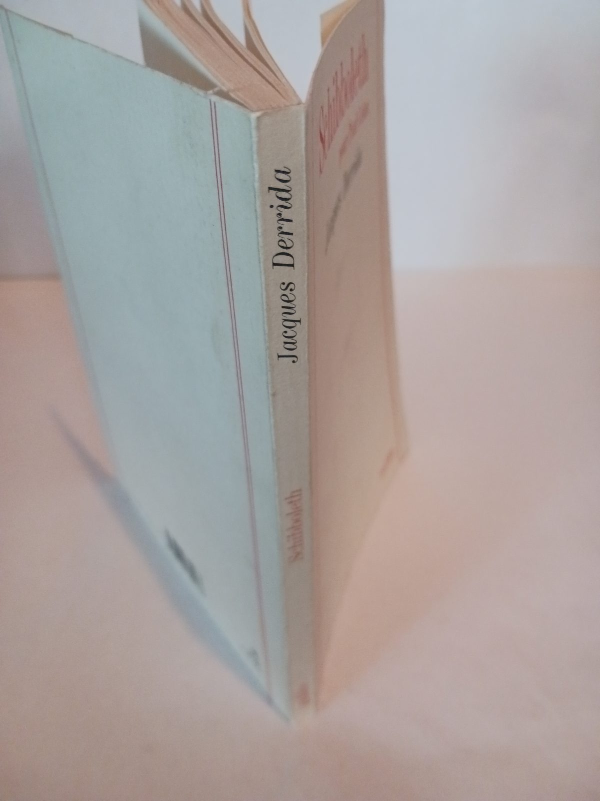 Schibboleth pour Paul Celan – Image 5
