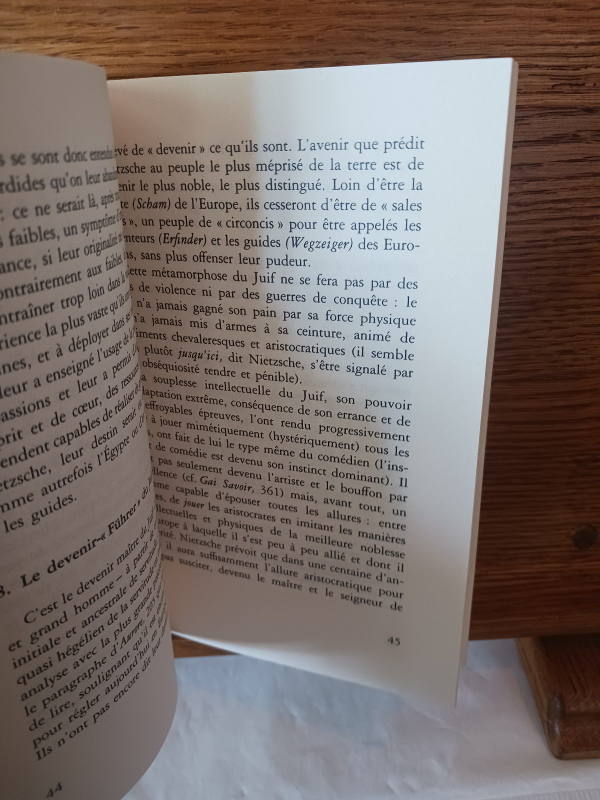 Le mépris des juifs – Image 3