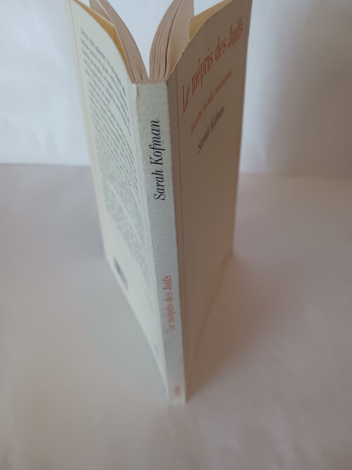 Le mépris des juifs – Image 5