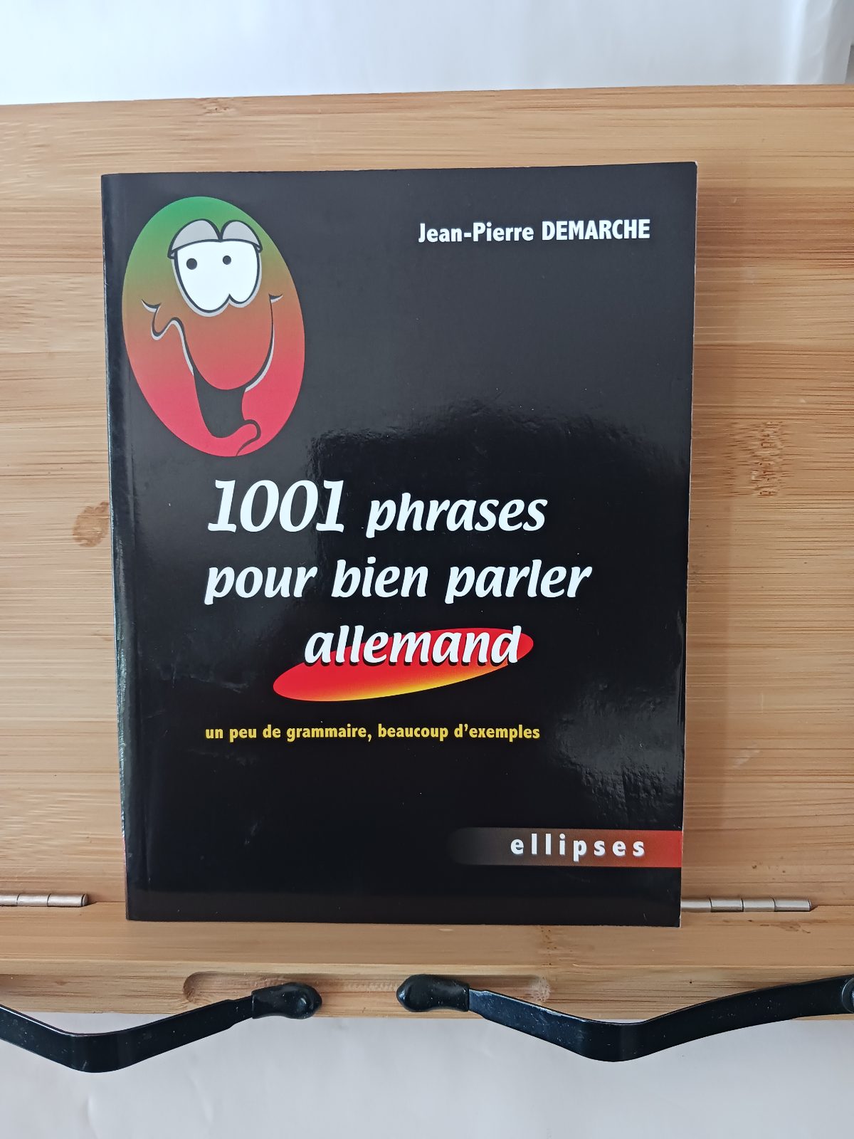 1001 Phrases pour bien parler allemand: Un peu de grammaire, beaucoup d'exemples