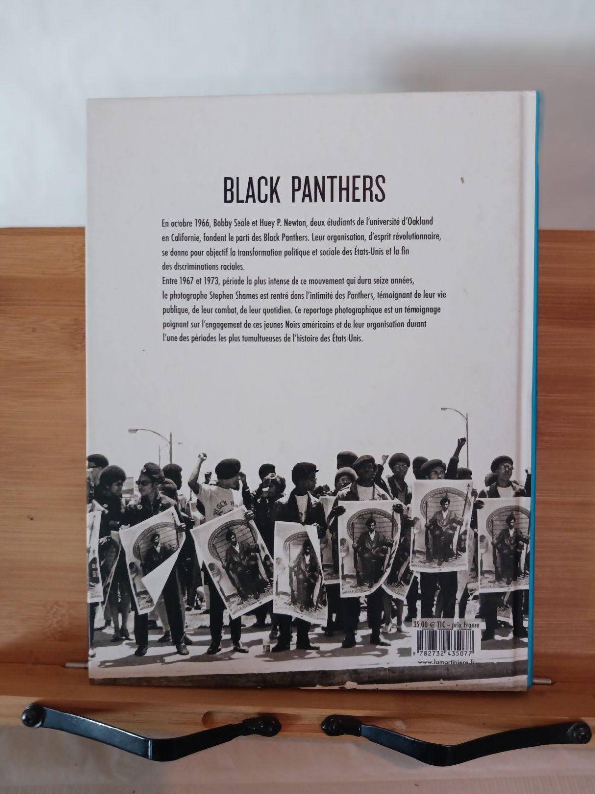 Black Panthers – Image 2