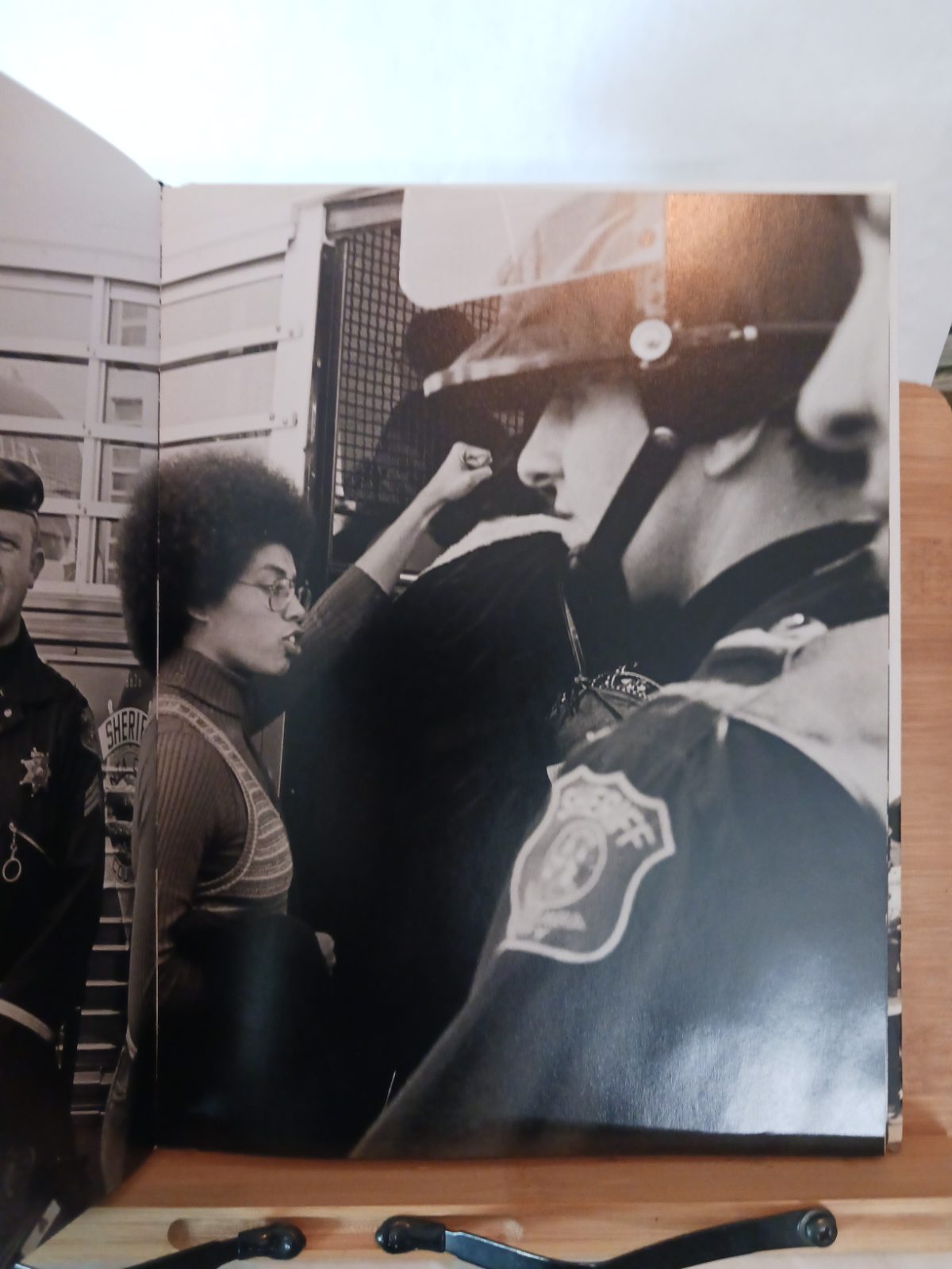 Black Panthers – Image 3