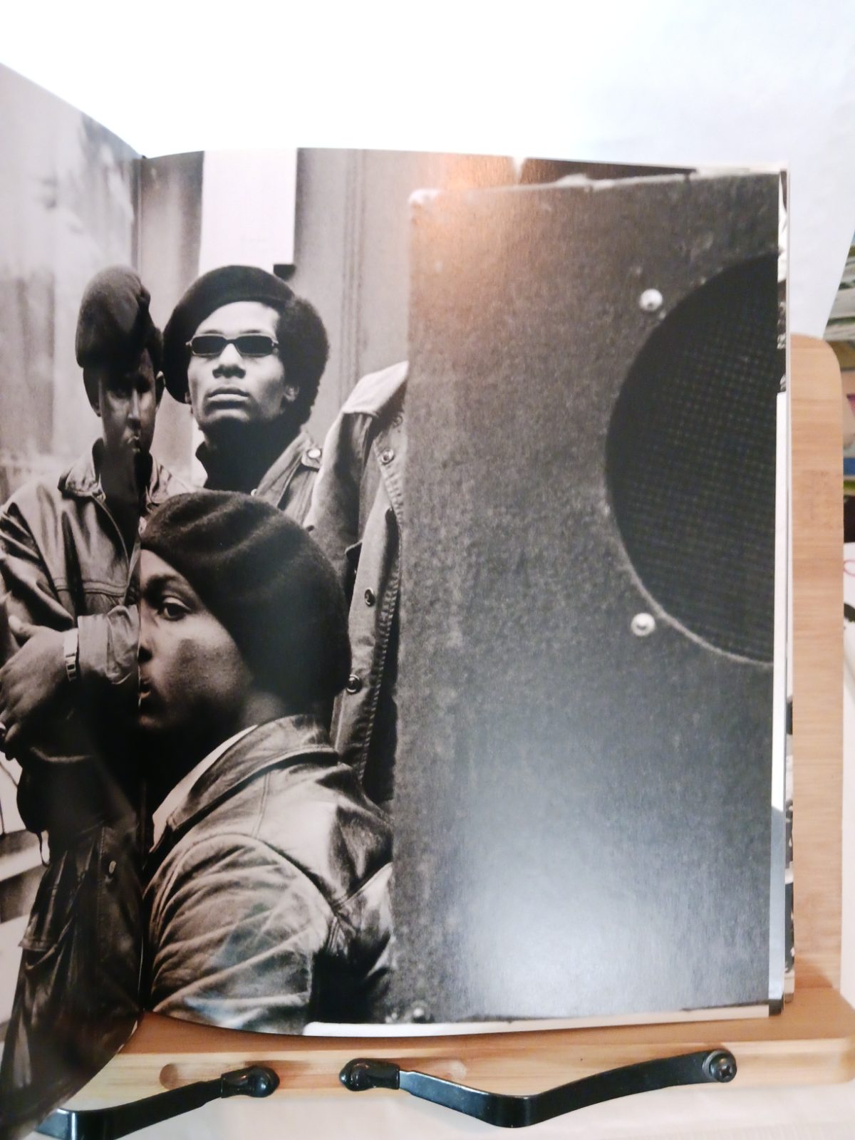 Black Panthers – Image 4