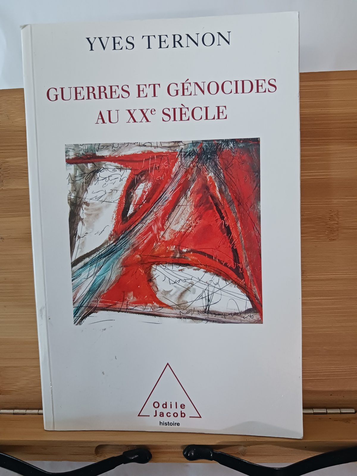 Guerres et génocides au XXe siècle : architectures de la violence de masse