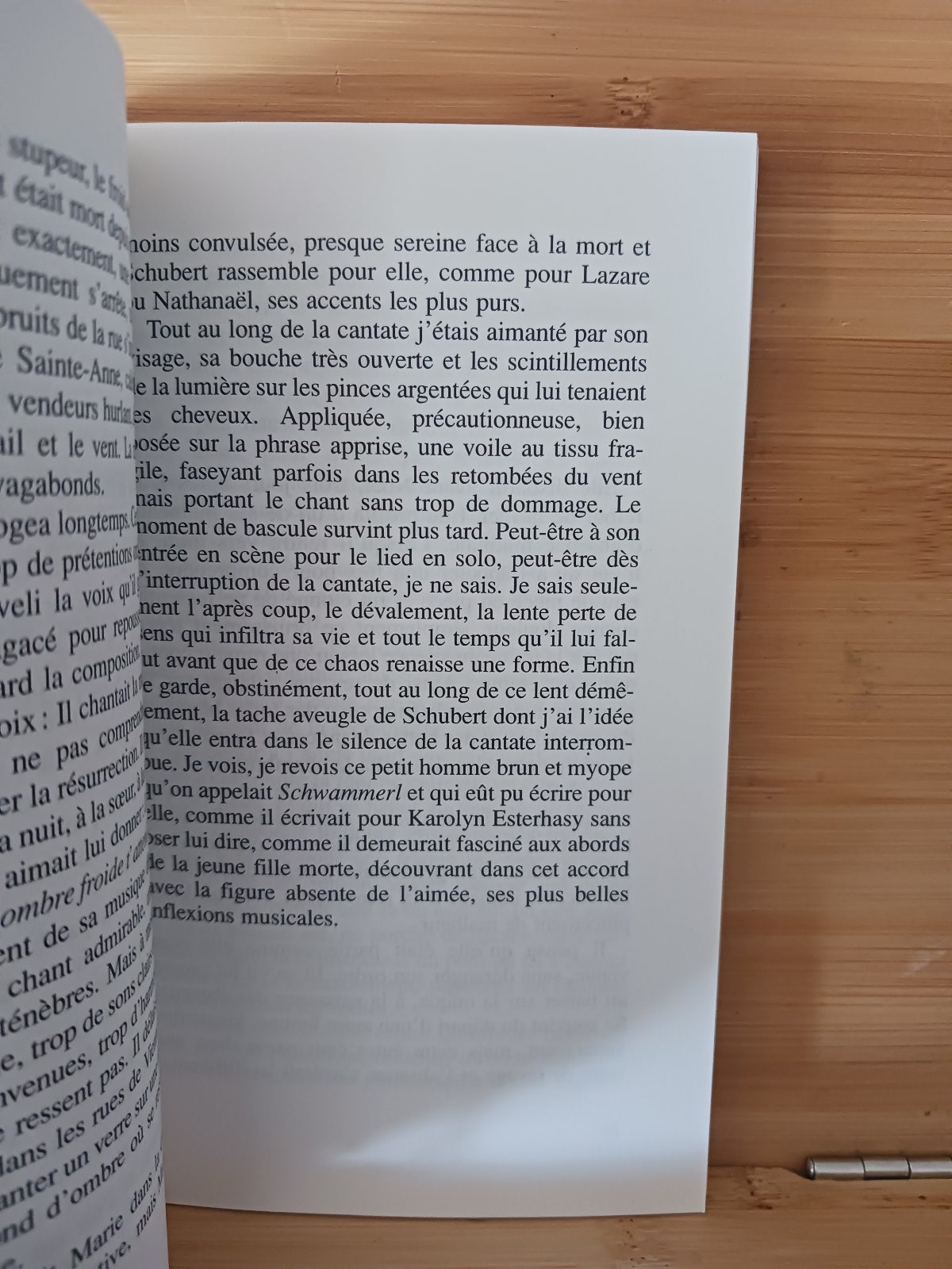 La leçon de chant – Image 4