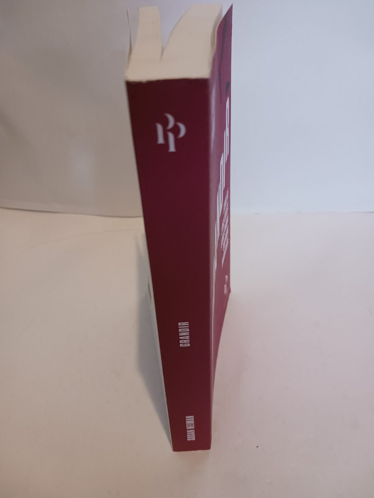 Grandir : éloge de l'âge adulte à une époque qui nous infantilise – Image 5