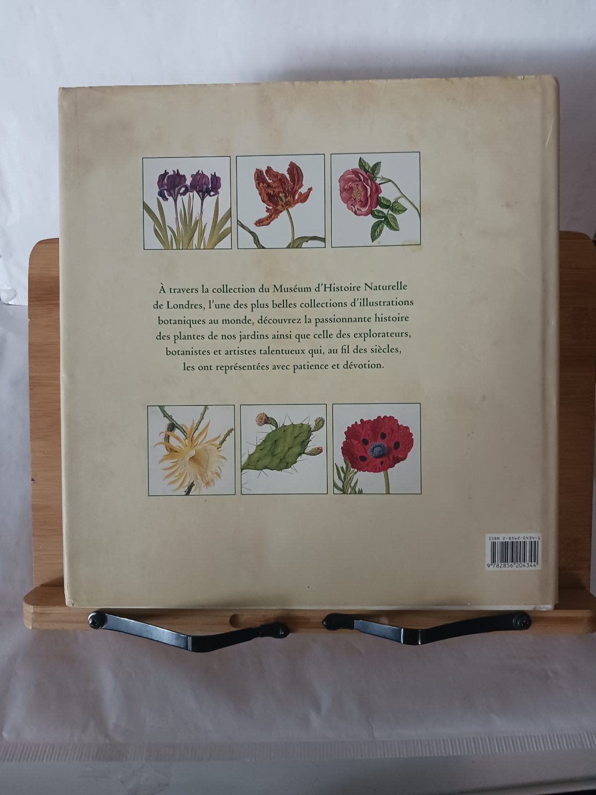 Le voyage botanique – Image 2