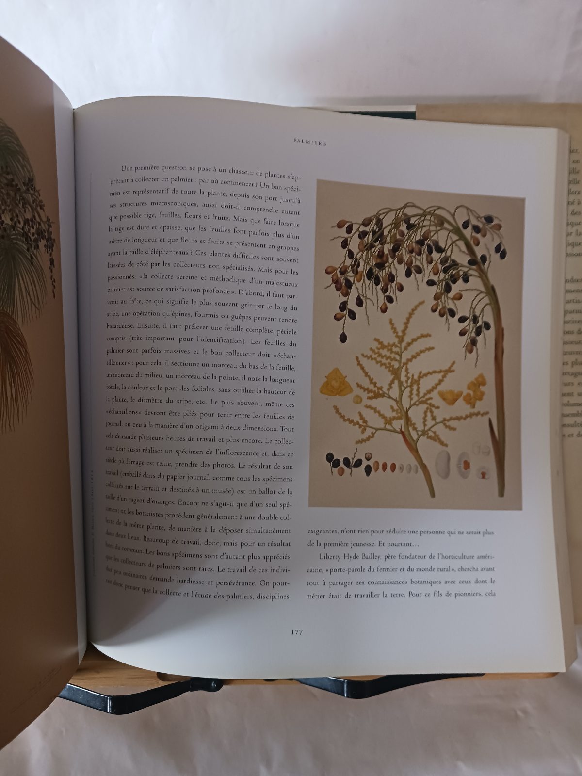 Le voyage botanique – Image 3