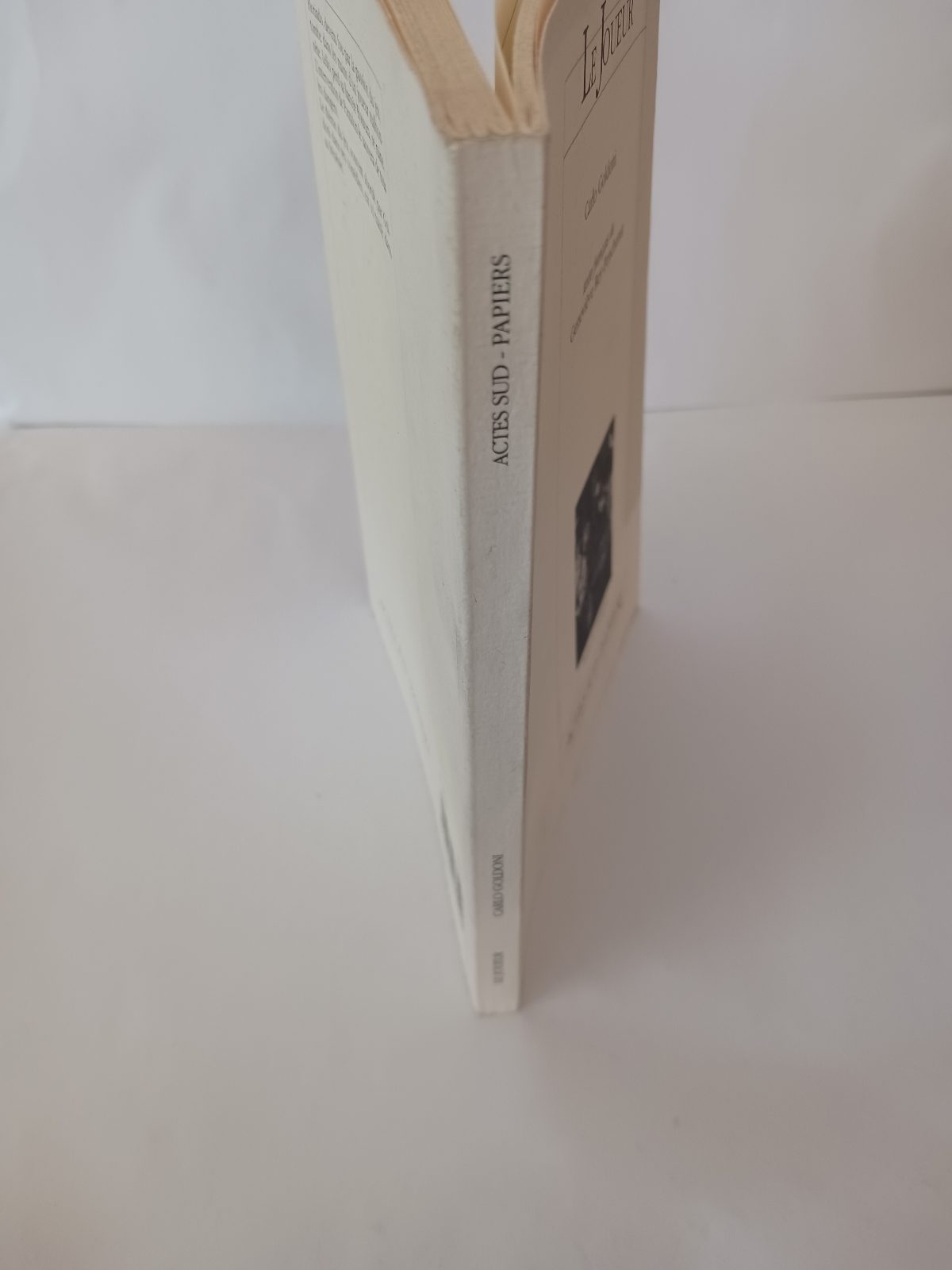 Le joueur – Image 4