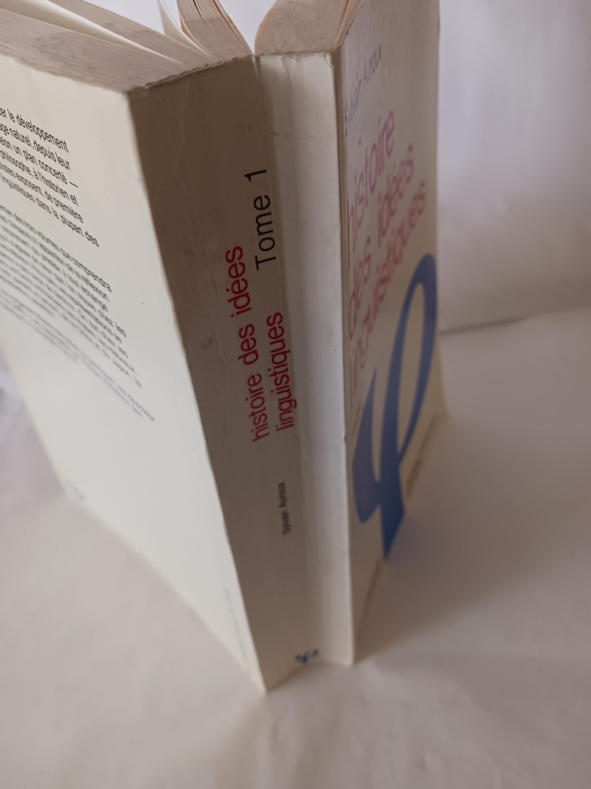 Histoire des idées linguistiques – Image 5