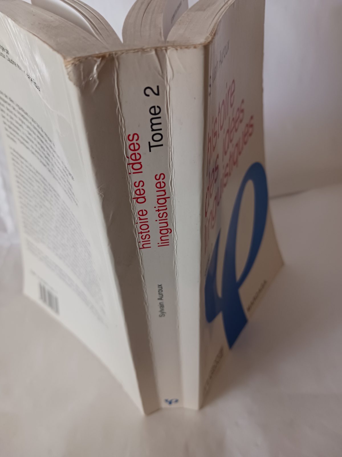 Histoire des idées linguistiques – Image 5