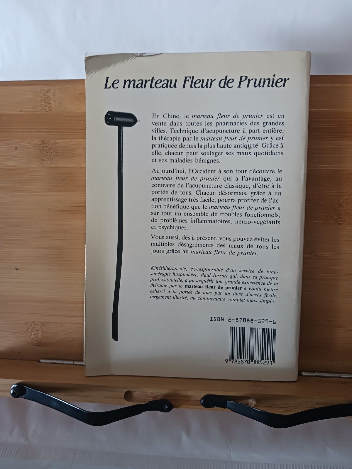 Le marteau fleur de prunier – Image 2