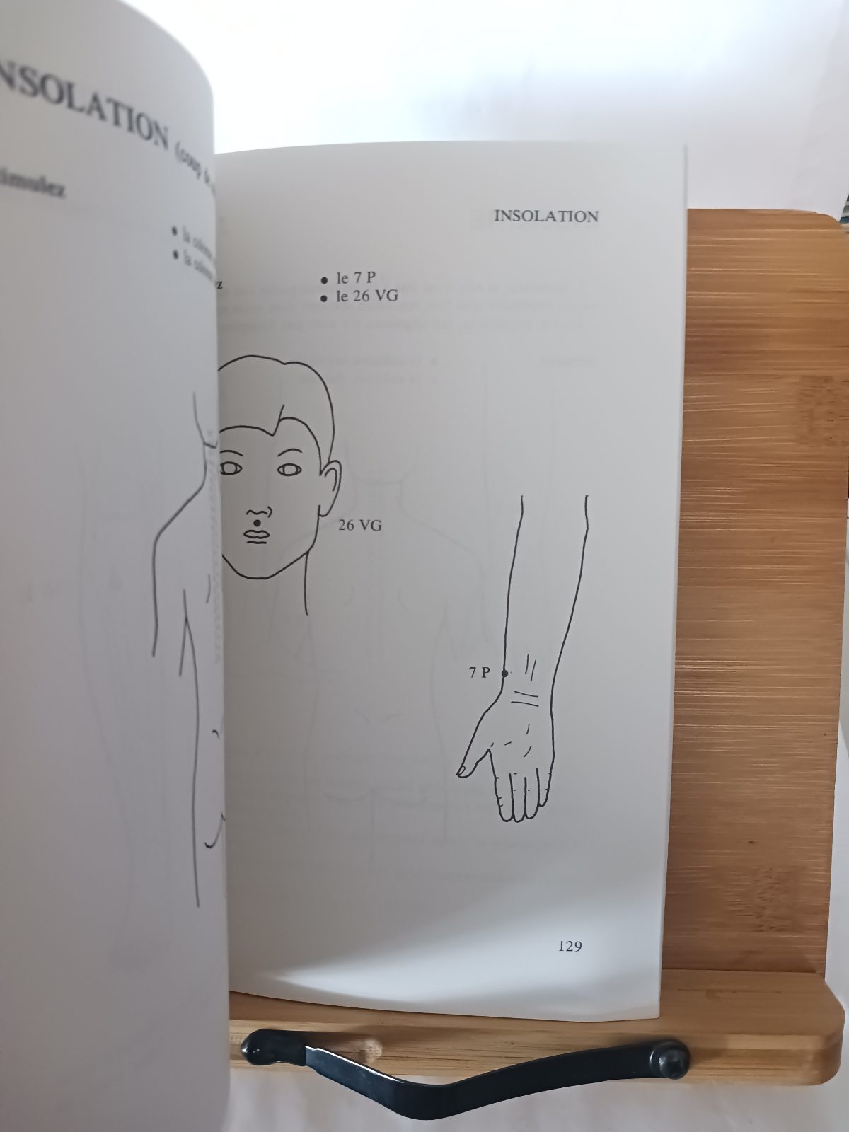 Le marteau fleur de prunier – Image 3