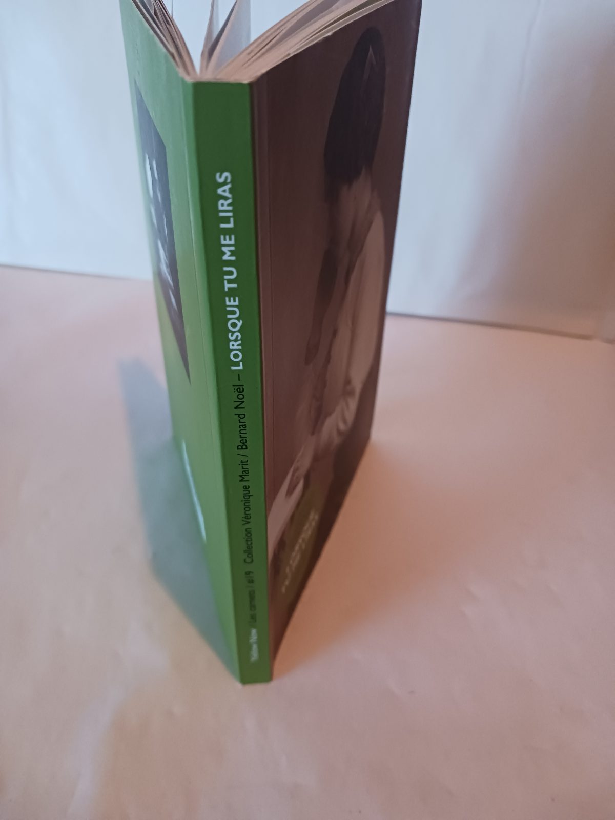 Lorsque tu me liras - 9782873404437 Véronique Marit – Image 2