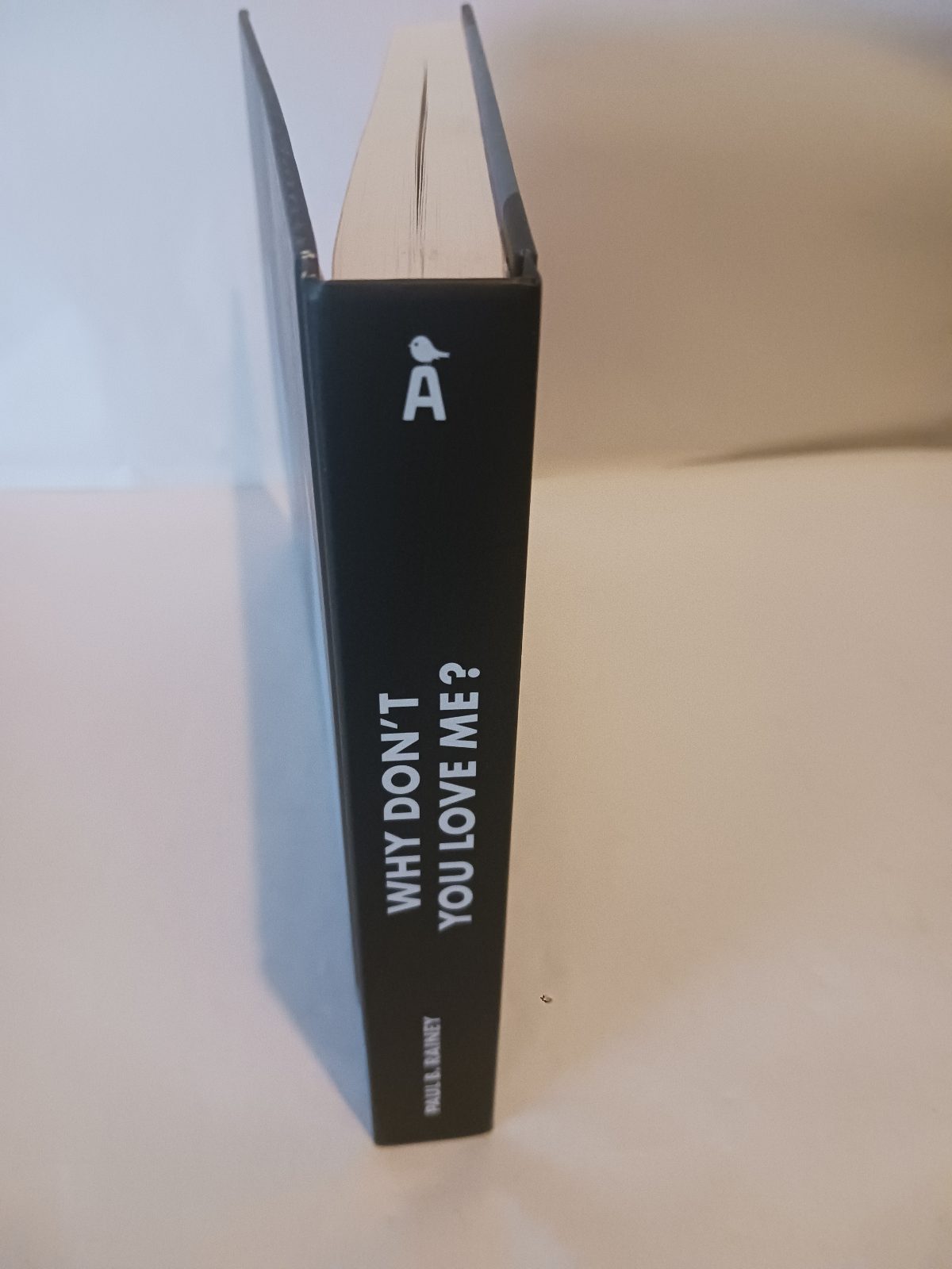 Why don't you love me ? / Paul B. Rainey ; traduit de l'anglais par Christophe Gouveia Roberto – Image 5