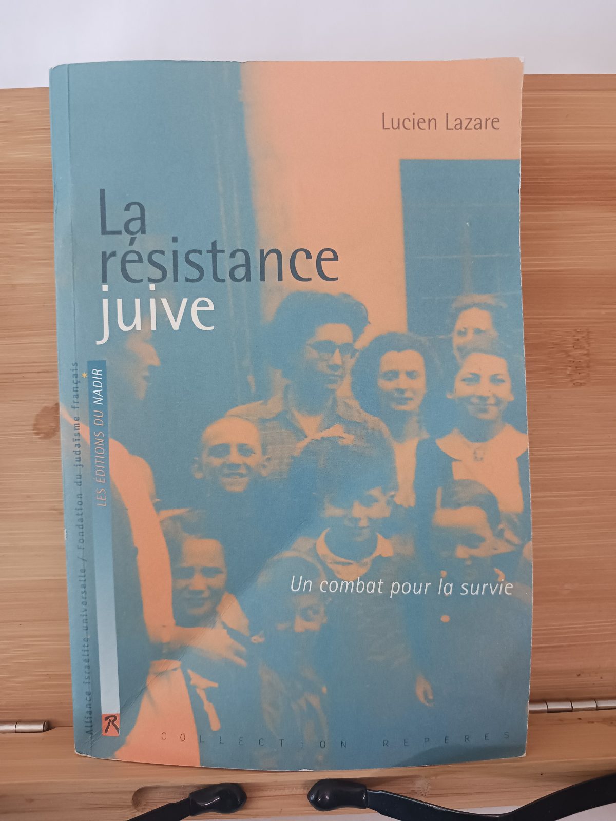 La résistance juive