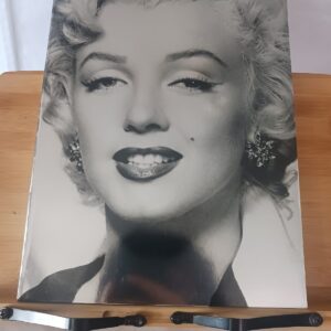 Marilyn Monroe face à l'objectif
