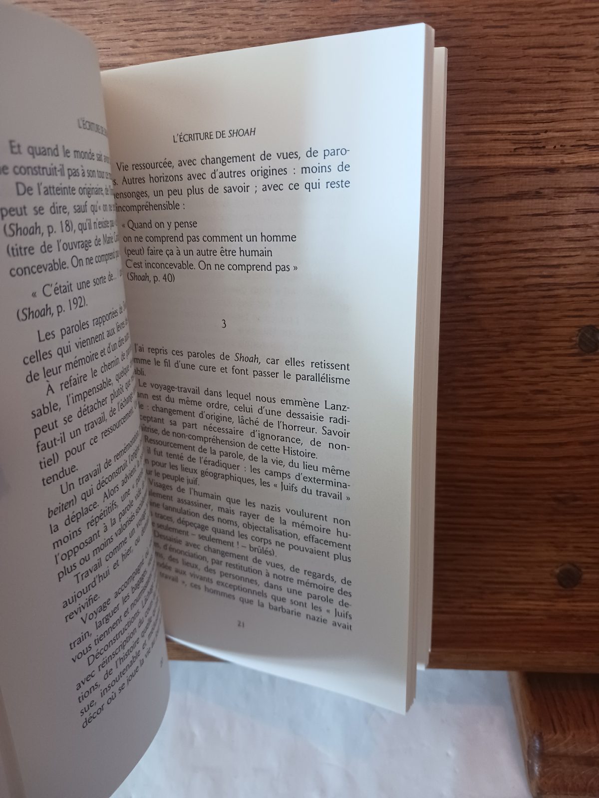 L'écriture de "Shoah" : une lecture analytique du film et du livre de Claude Lanzmann – Image 3
