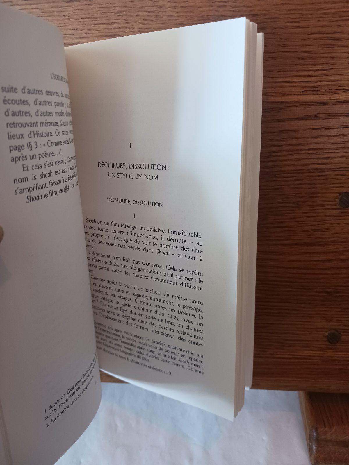 L'écriture de "Shoah" : une lecture analytique du film et du livre de Claude Lanzmann – Image 4
