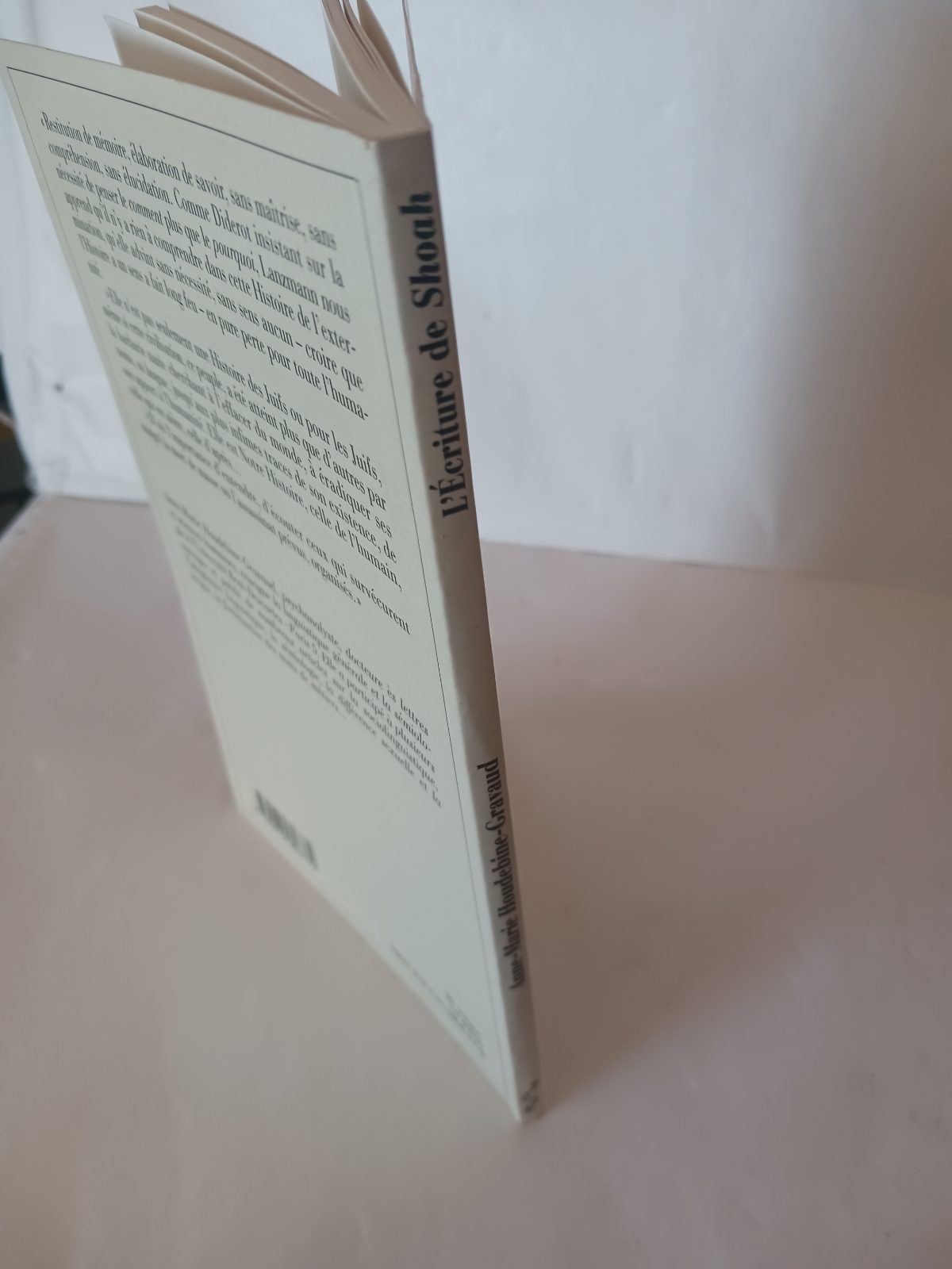 L'écriture de "Shoah" : une lecture analytique du film et du livre de Claude Lanzmann – Image 5