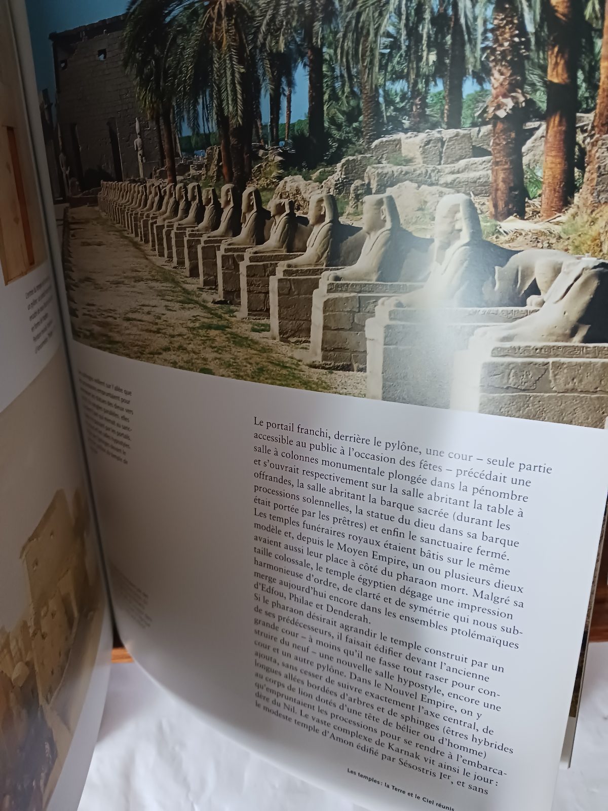 L'Egypte. Les Hommes, Les Dieux, Les Pharaons Rainer Hagen, – Image 3