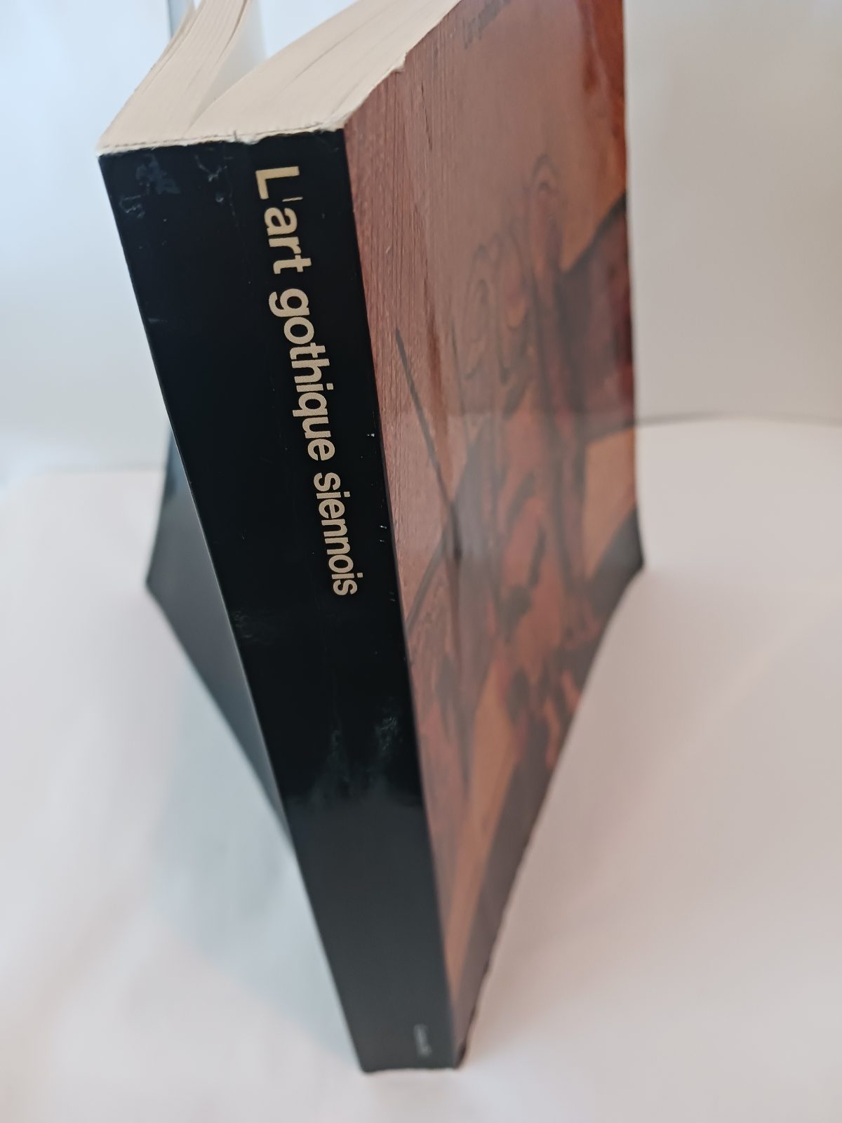 L'Art gothique siennois – Image 4
