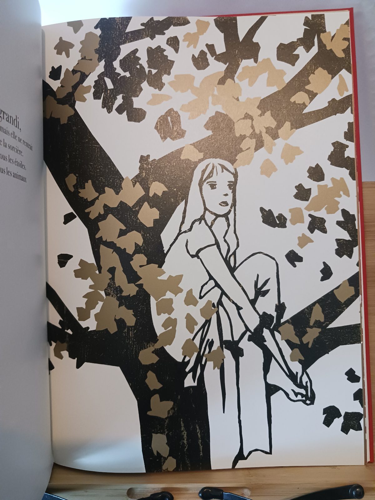 La princesse au bois se cachait – Image 4