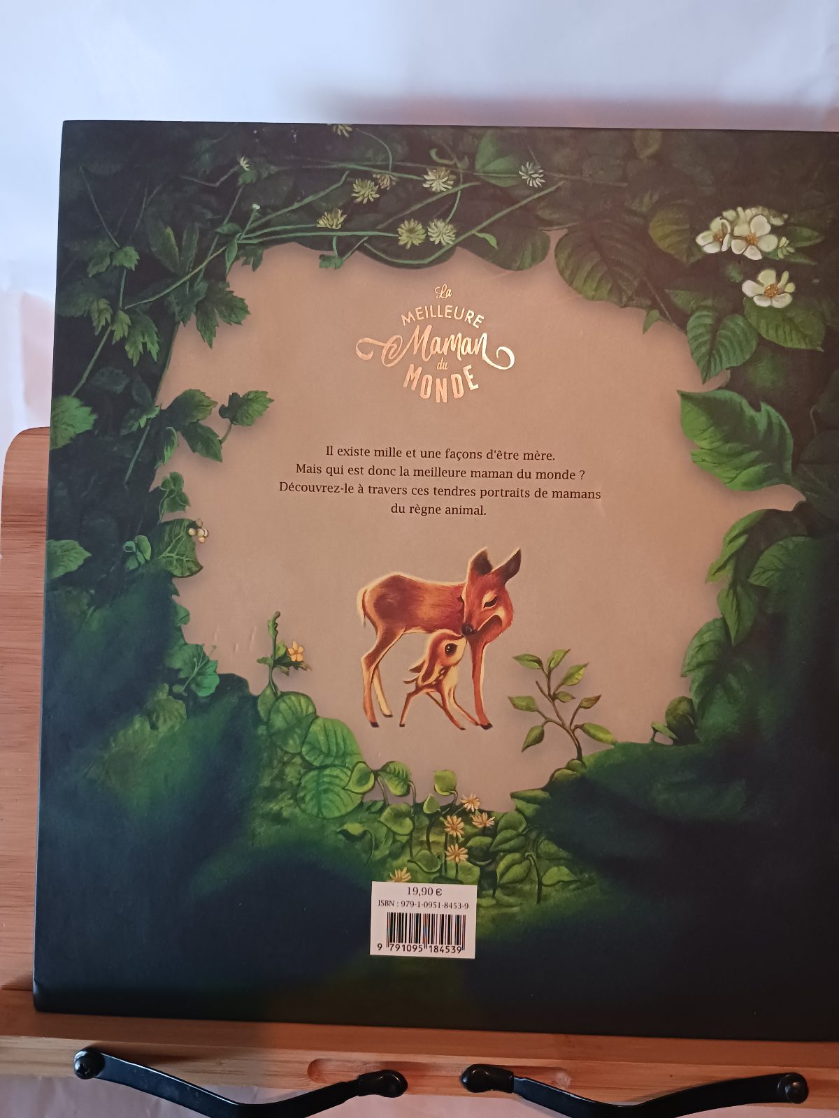 La meilleure maman du monde – Image 2