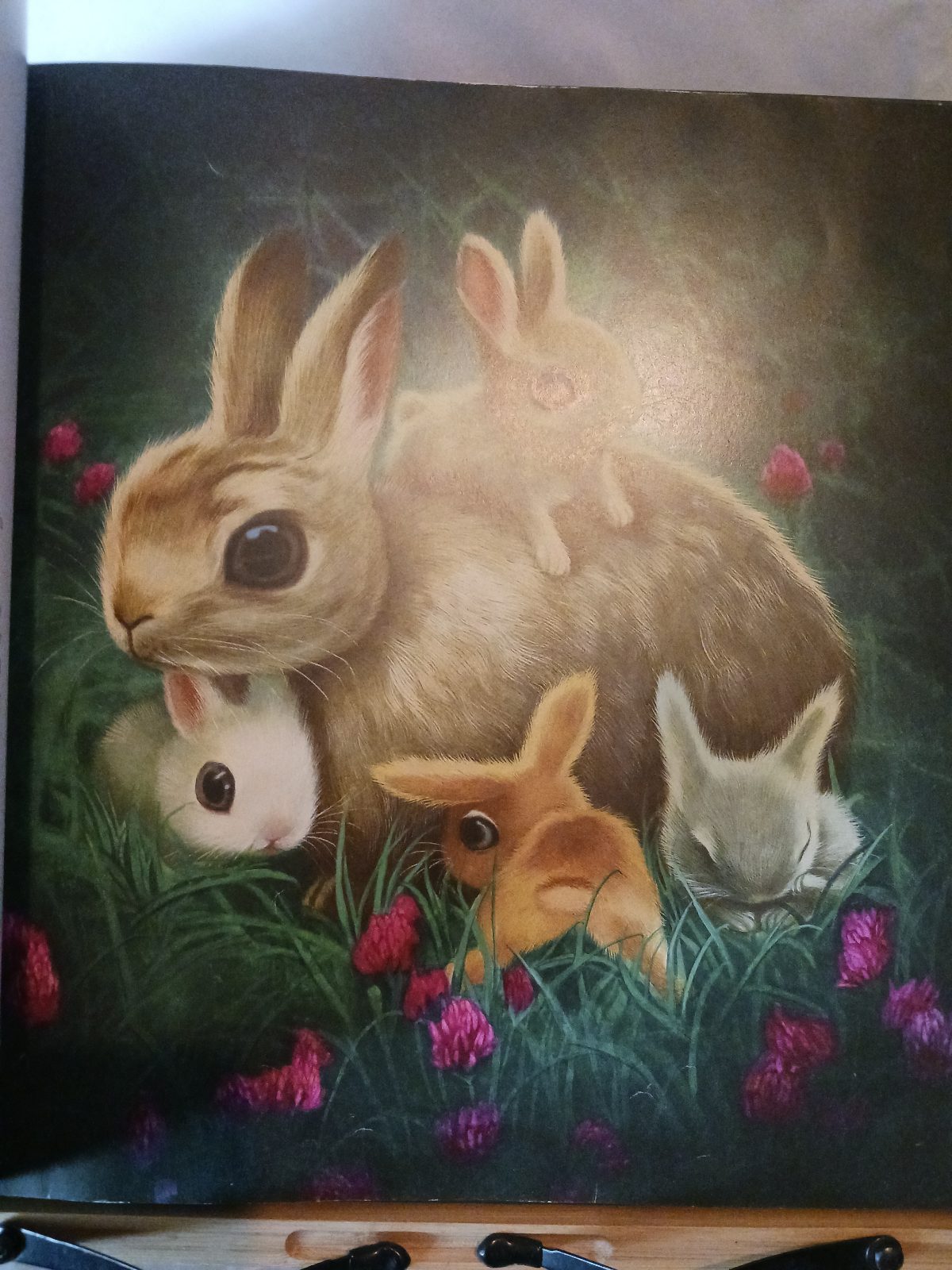 La meilleure maman du monde – Image 4