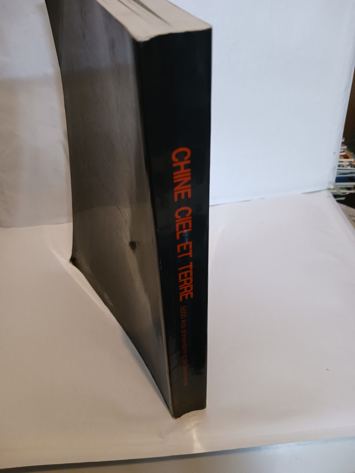 Renverser ciel et terre : la tragédie de la Révolution culturelle : Chine, 1966-1976 – Image 4