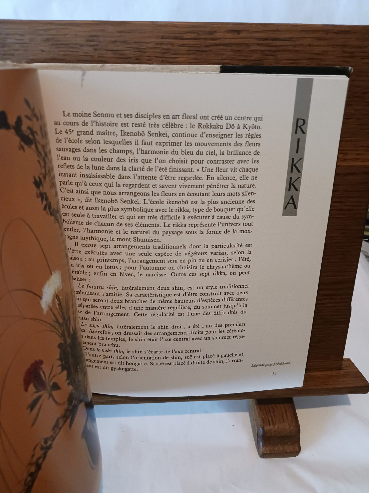 Ikebana (l'art floral japonais) – Image 3