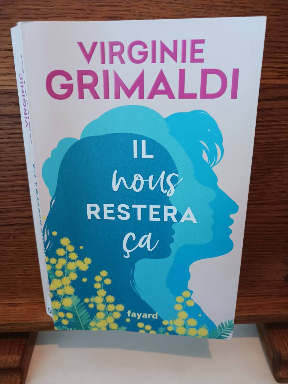 Il nous restera ça