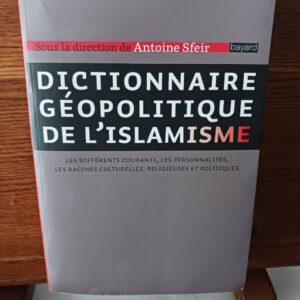 Dictionnaire géopolitique de l'islamisme