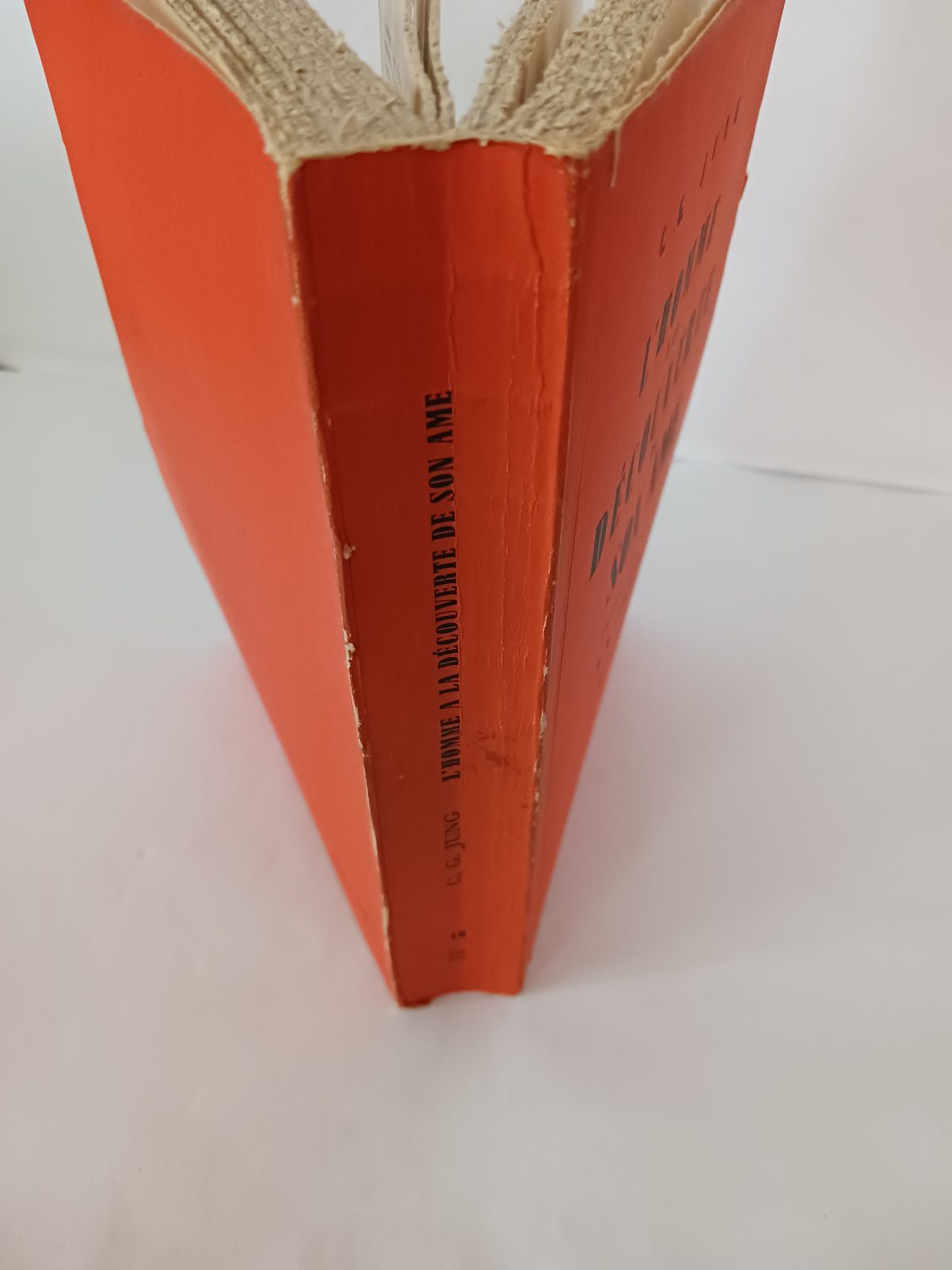 L'homme à la découverte de son âme – Image 5