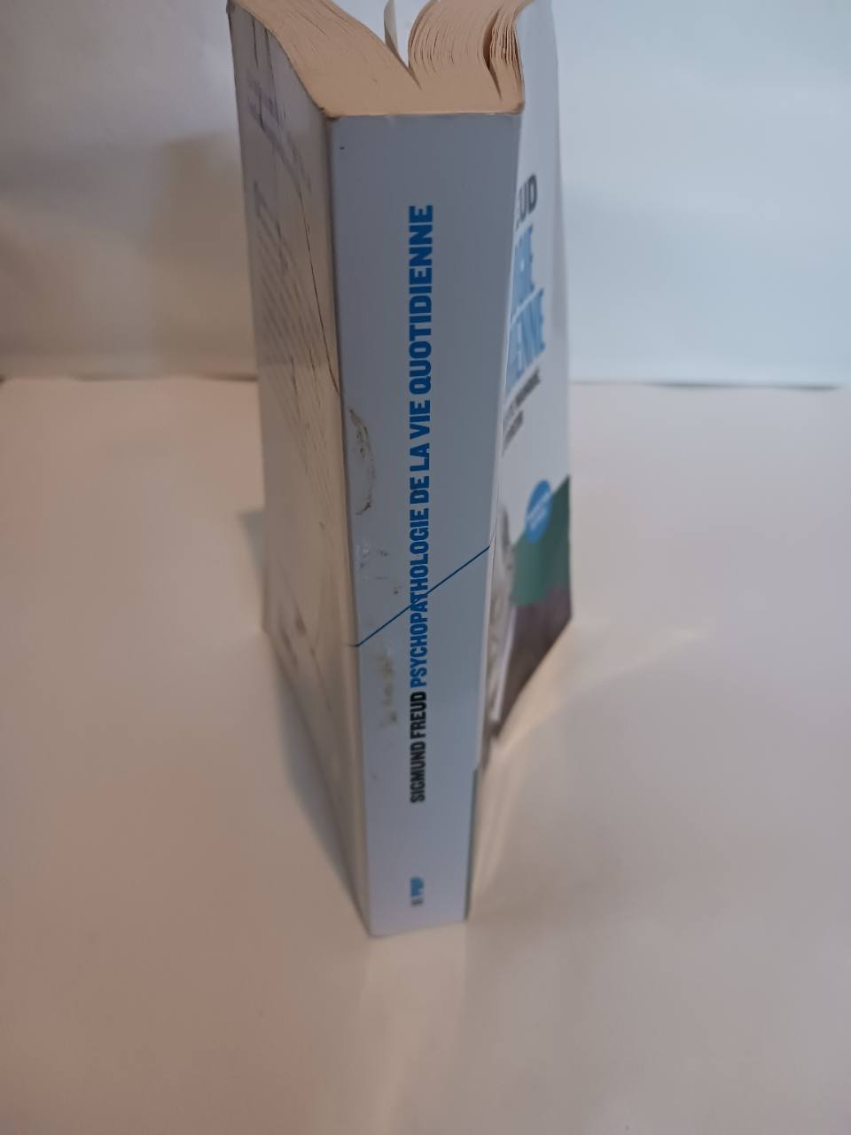 Psychopathologie de la vie quotidienne – Image 3