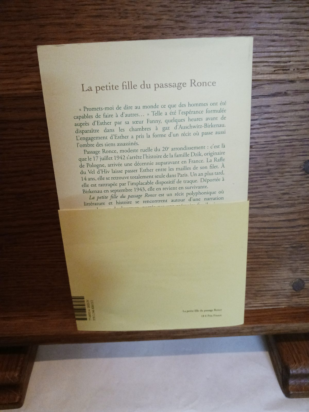 La petite fille du passage Ronce – Image 2